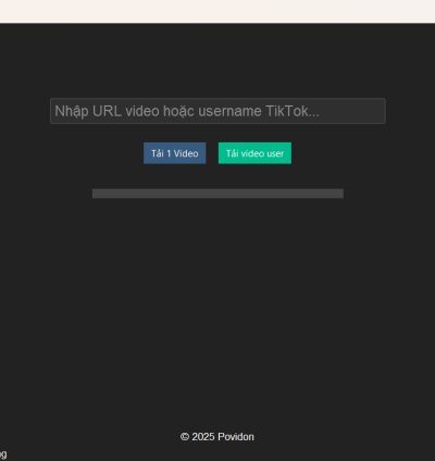 TikOot - Tải Video TikTok Không Logo (Watermark)